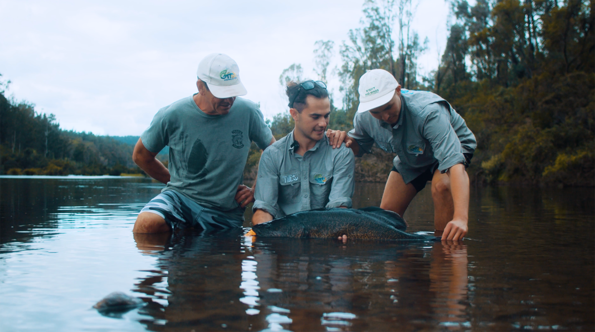 three people kneeling in water holding the endagered eastern cod