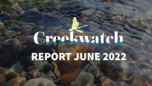 Creekwatch Report June 2022