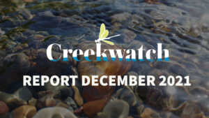 Creekwatch Report December 2021