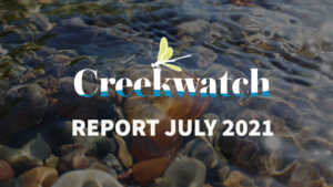 Creekwatch Report July 2021