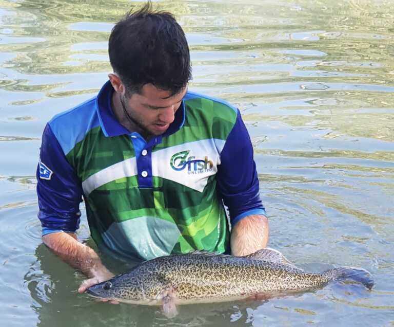 Helping with fish rescues in the Murray River 