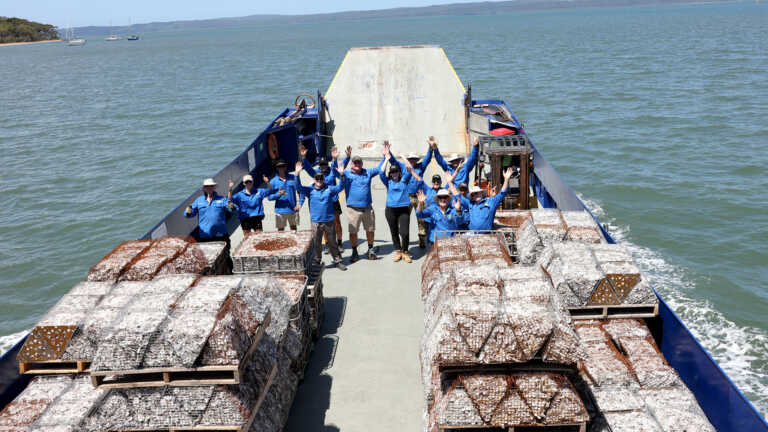 Volunteers deploy one million oyster shells in biggest day of restoration  