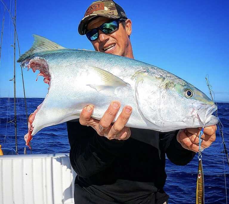 Queensland fishers called to help uncover the mystery of depredation