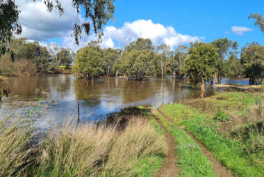 Oolong Creek, NSW 2023