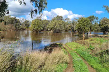 Oolong Creek, NSW 2023