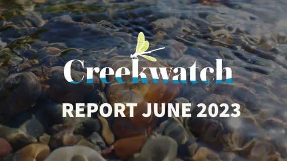 Creekwatch Report June 2023