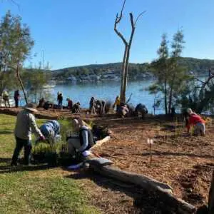 AUGUST 23    |   Lake Macquarie community explores saltmarsh restoration
