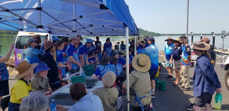 Volunteer efforts propel seagrass restoration in North Queensland