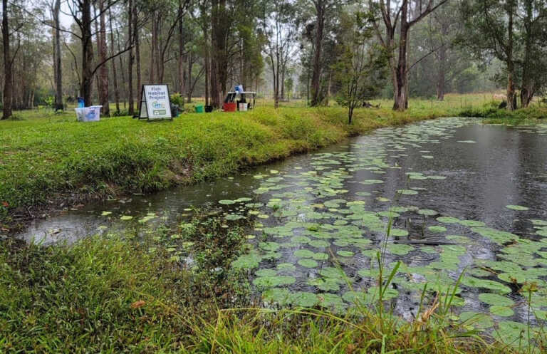 Bonville Creek, NSW 2023