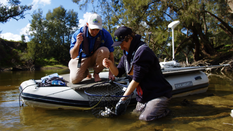 Recreational fisher science program – Murray Darling Basin