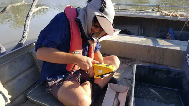 OzFish launches first ever recreational angler tagging program across Murray Darling Basin
