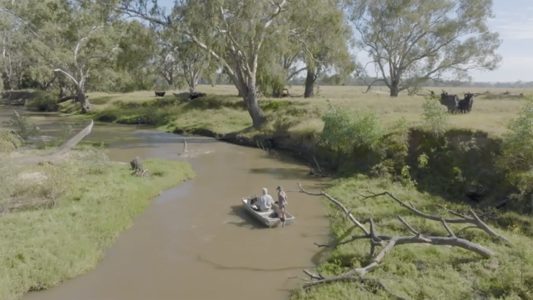 Tarcutta creek restoration 2023