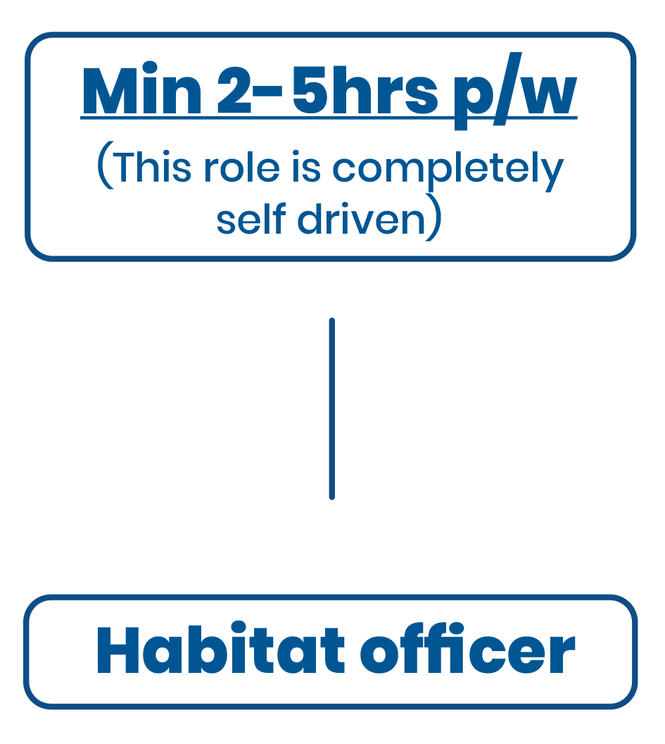 Habitat Officer flow chart of hours