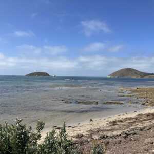 19 FEBRUARY 2024  | Silver Linings For Fleurieu Seagrass