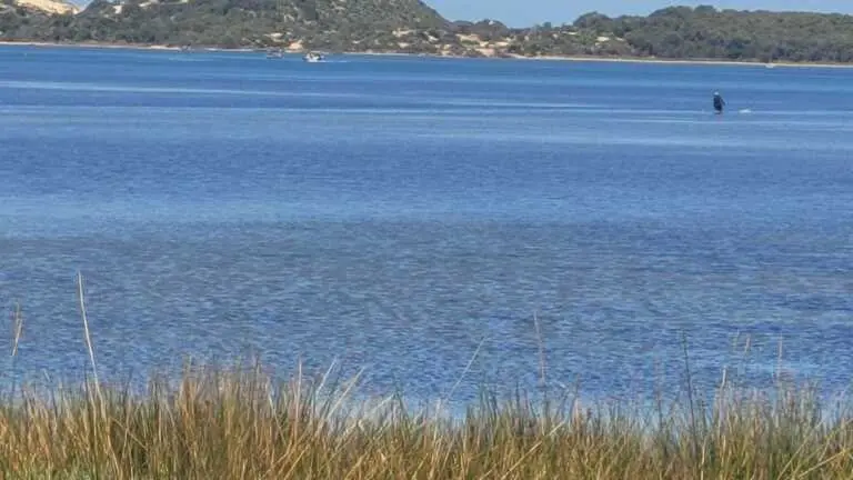Seagrass for Swimmers – Western Australia