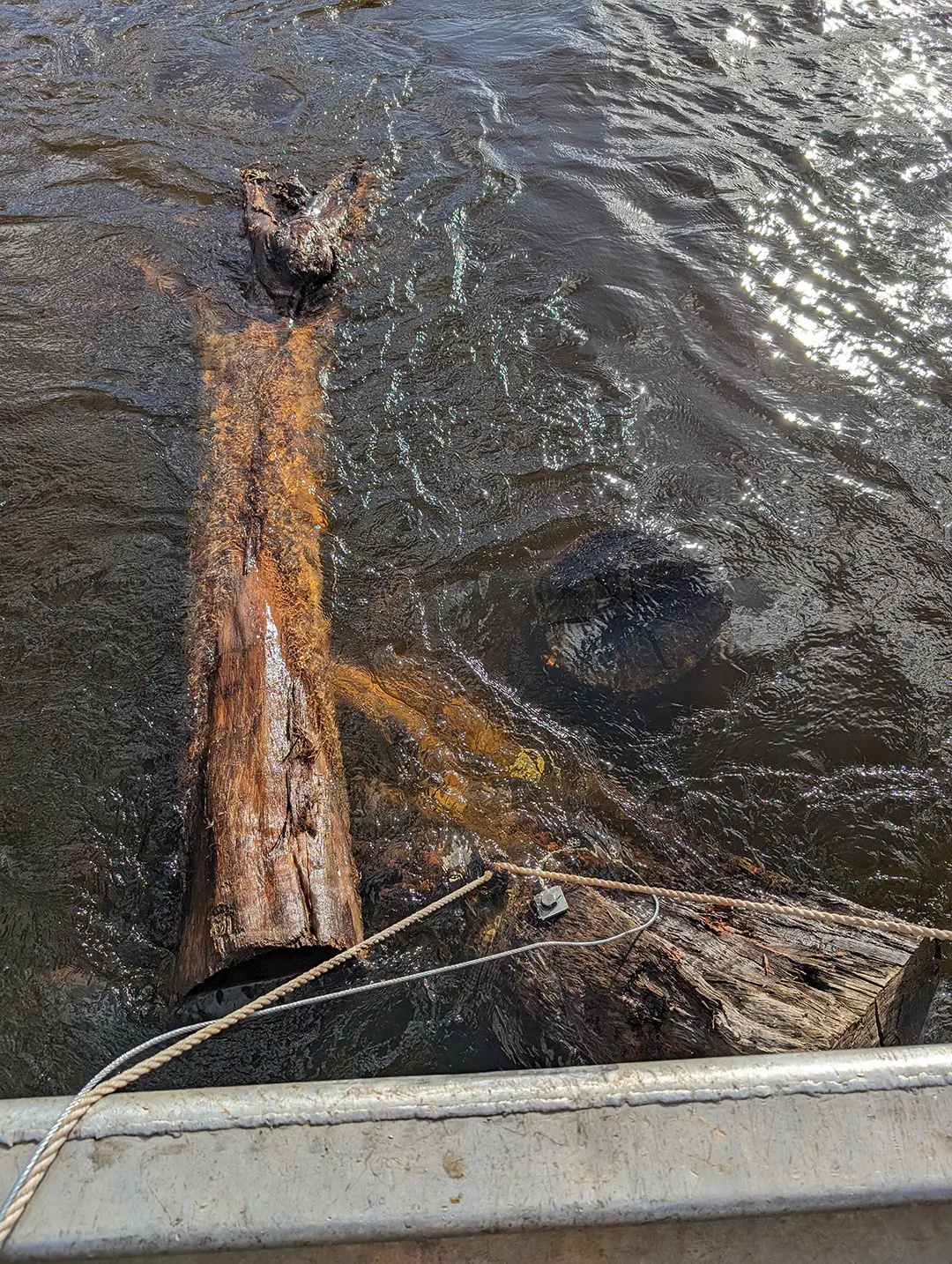 Log floating in water tied to a boat