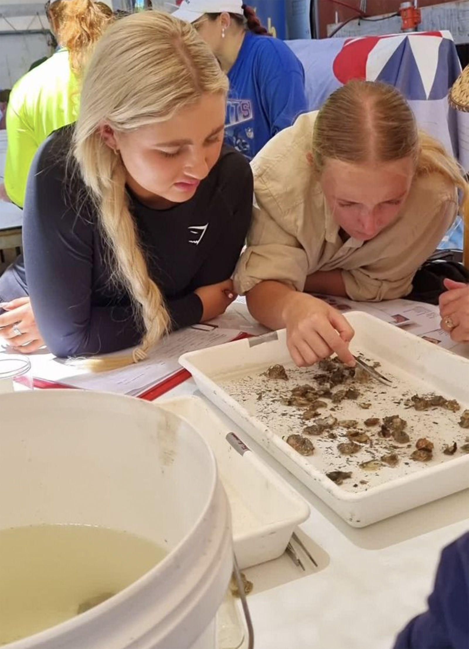Two girls looking at tray of aquatic organisms