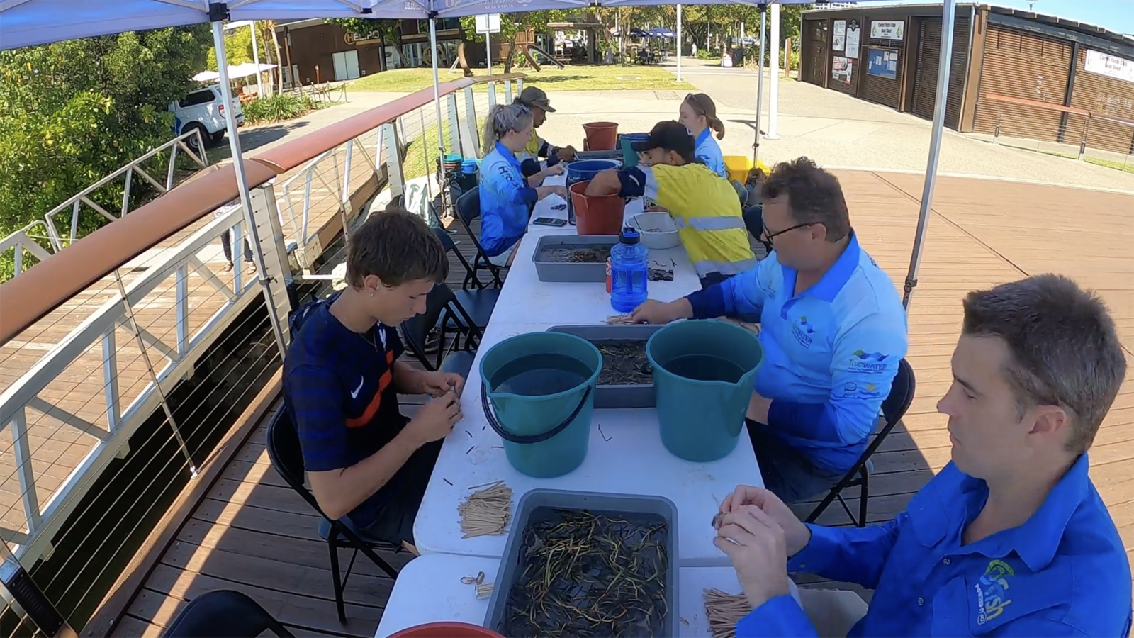 people sitting along a fold out table outside handling seagrass fragments out of buckets