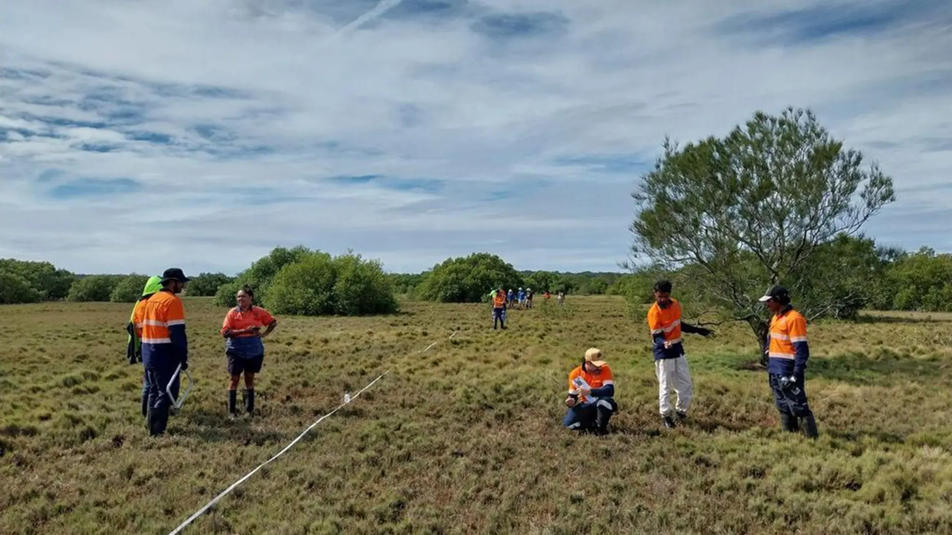 People doing an assessment in a field